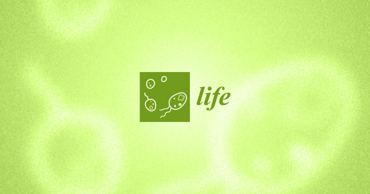 Life | January 2025 - Browse Articles