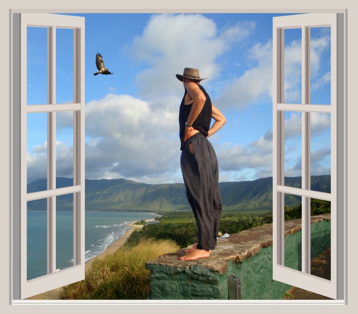 Man Freedom Bird View Free Stock Photo - Public Domain Pictures