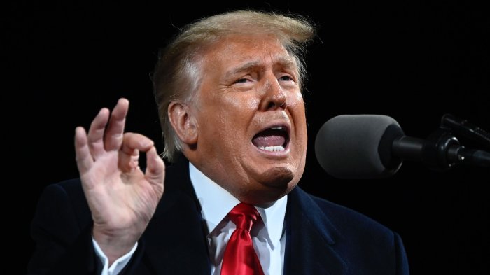 Fact check: Trump claimed the US doesn’t do ‘much business with Canada ...