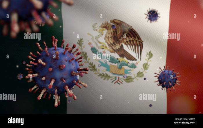 (PDF) Bacterial Coinfection and Superinfection in Respiratory Syncytial ...