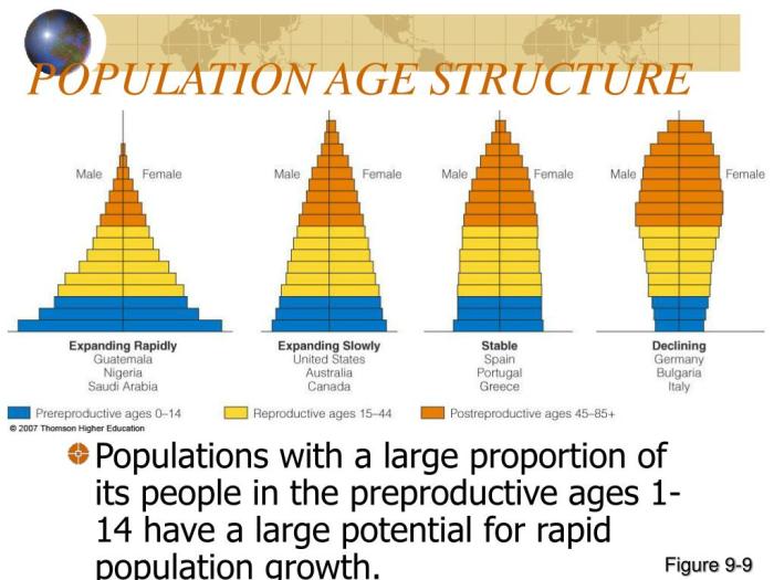 Age Structure Diagrams Stages Age Structure Population Pyram