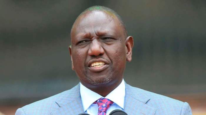 William Ruto / Is William Ruto A Benevolent Giver Or A Skewed Giver ...