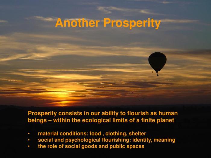 60 Prosperity Quotes + Their Meanings/Explanations
