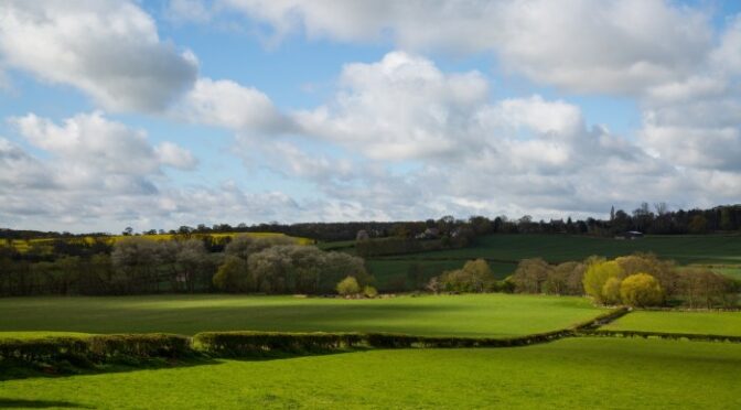 Summer of Death Exploring Violence and Societal Impact