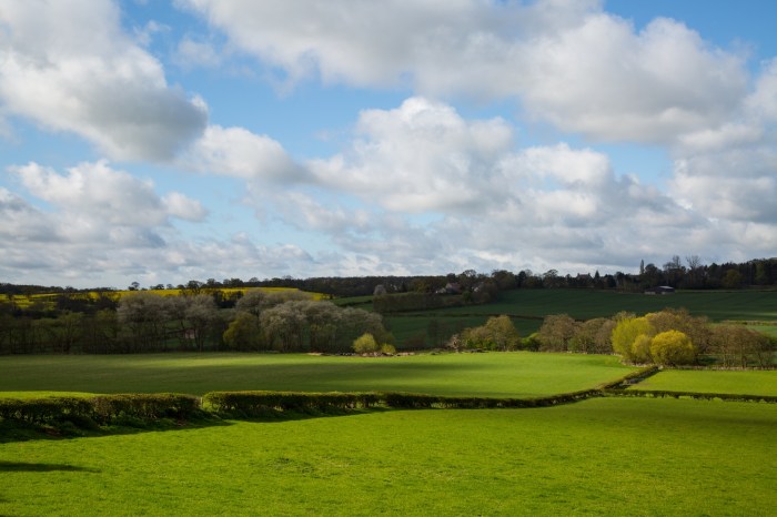 Summer Landscape Free Stock Photo - Public Domain Pictures