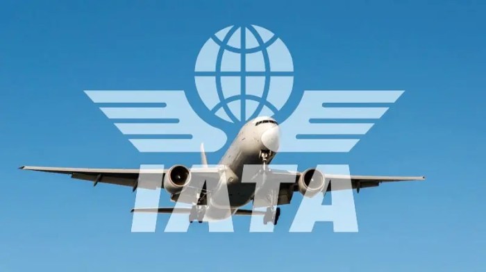 IATA sur L'Air du Bois