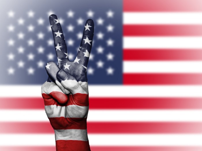 United States Flags With Peace Sign Free Stock Photo - Public Domain ...