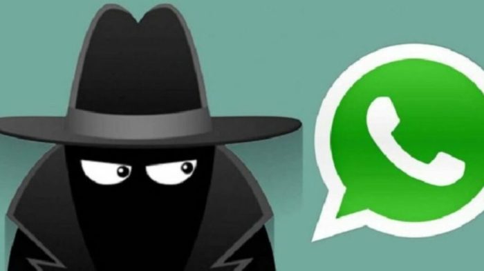 Warning For Whatsapp Users: Don't Pick Calls/Video Call From These ...